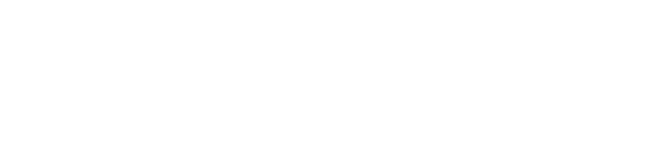 logo of NEMT Prime